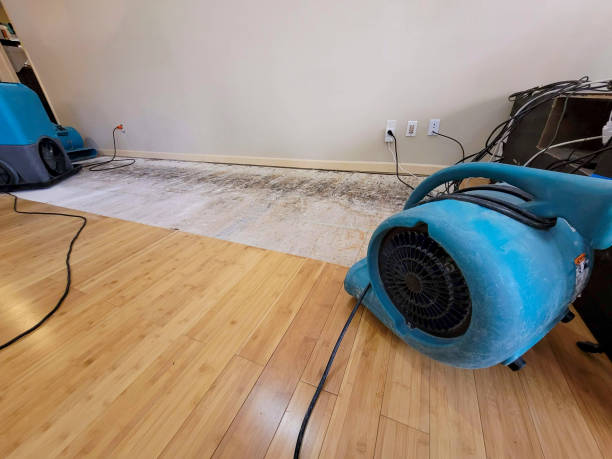 Professional Emergency Water Damage technician working in East Liverpool, OH
